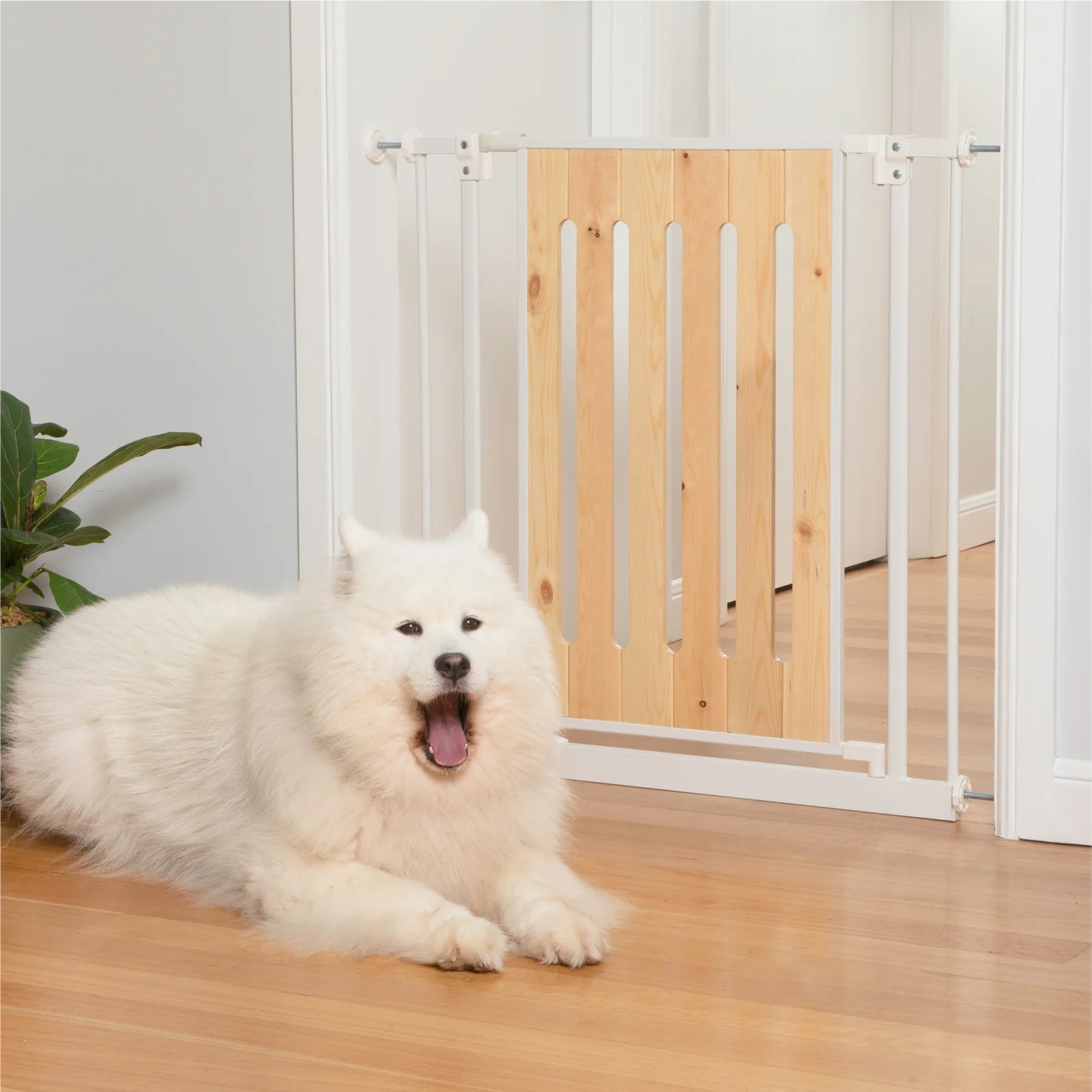 Timber Easy Fit Baby Gate | 0.82m W x 0.76m H - Image 5