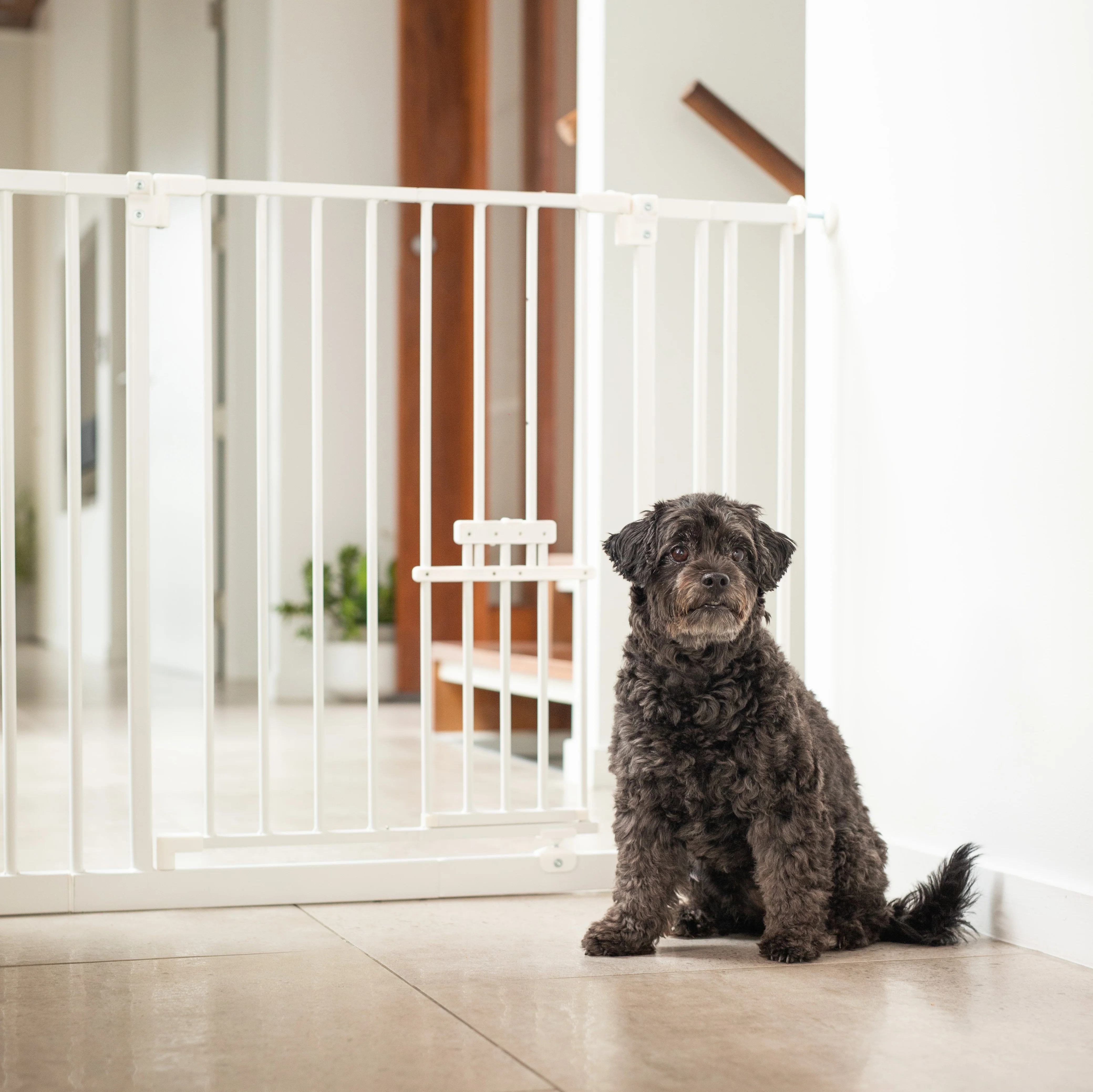 Easy Fit Pet Gate | 0.82m W x 0.76m H - Image 5