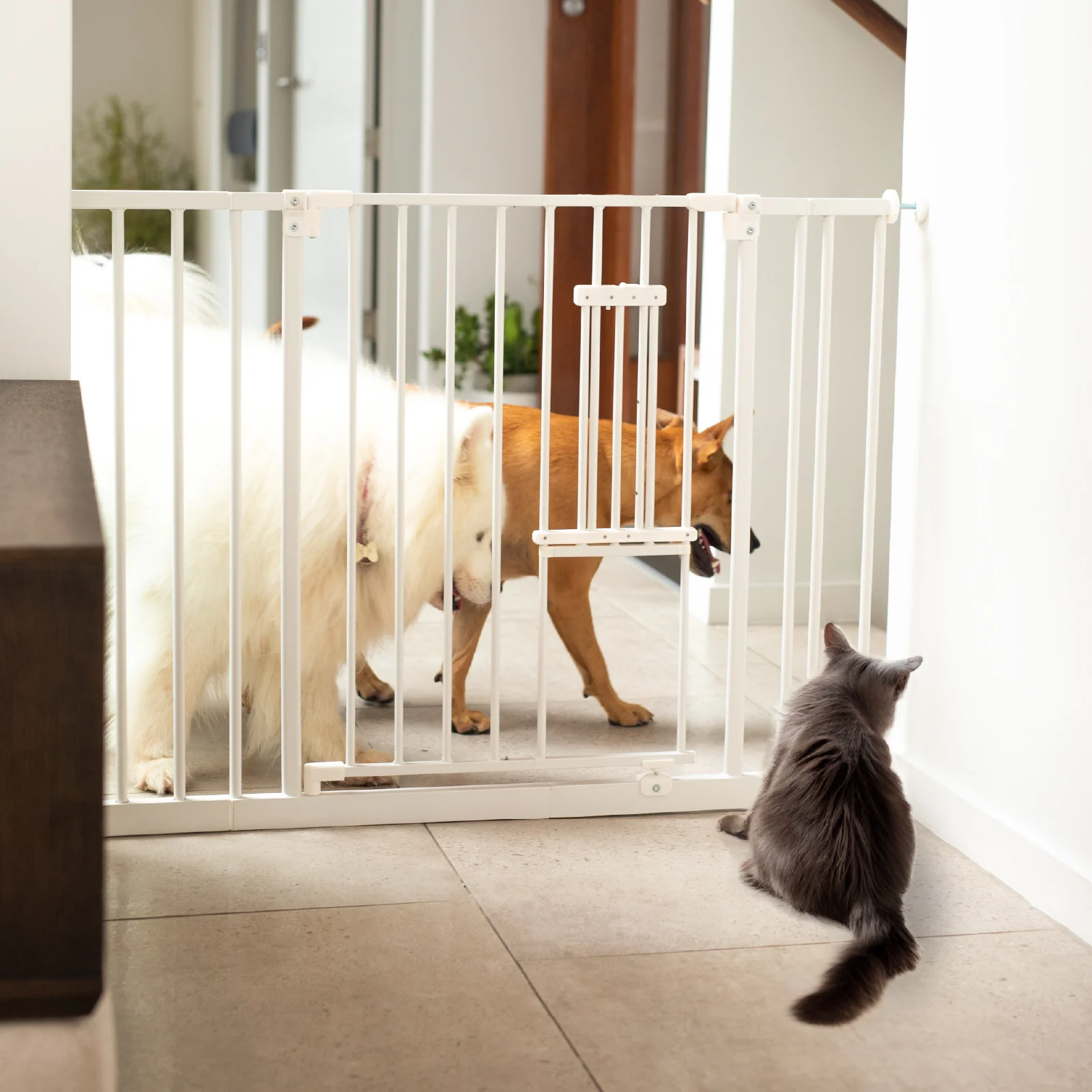 Easy Fit Pet Gate | 0.82m W x 0.76m H - Image 6